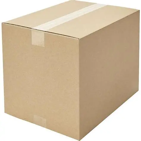 Caja S